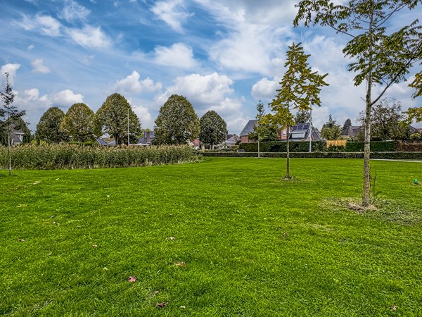 Medium property photo - Morgen 7, 6942 LD Didam